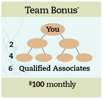 Mannatech Team Bonus